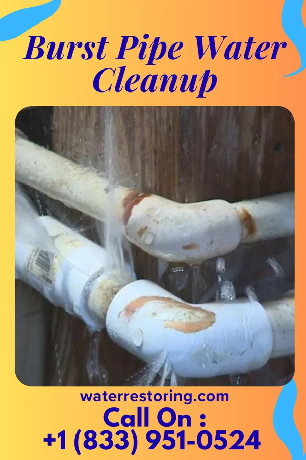 Burst Pipe Water Cleanup in Sasser, GA