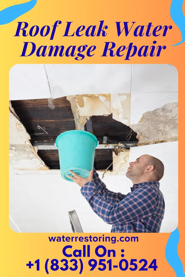 Roof Leak Water Damage Repair in Sasser, GA